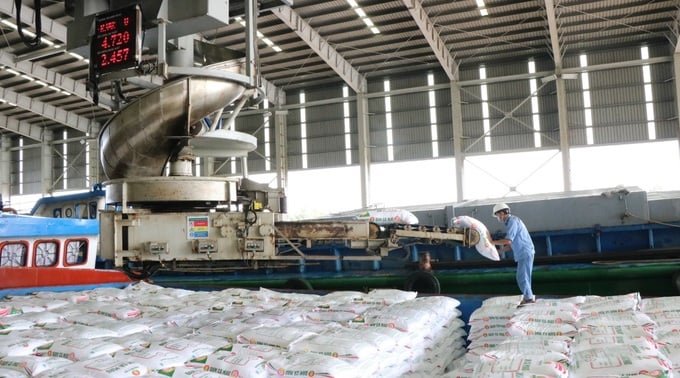 Đạm Cà Mau đang báo lãi kỷ lục, đạt 2.451 tỷ đồng lợi nhuận trước thuế trong 6 tháng đầu năm, tăng hơn 400% so với cùng kỳ năm trước.