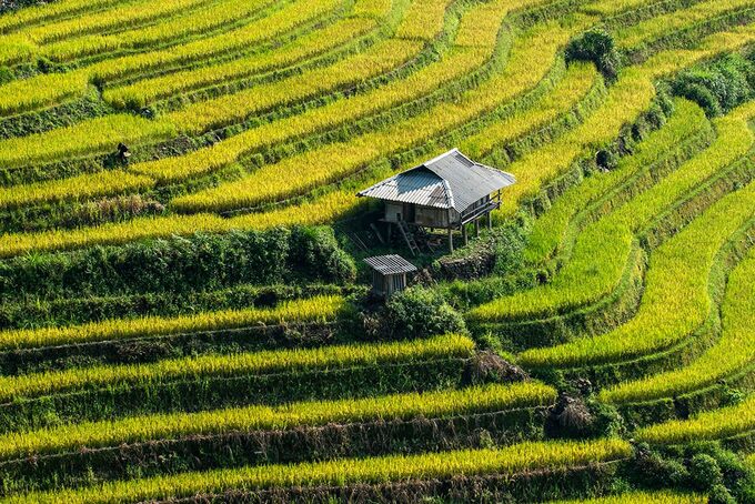 ha giang