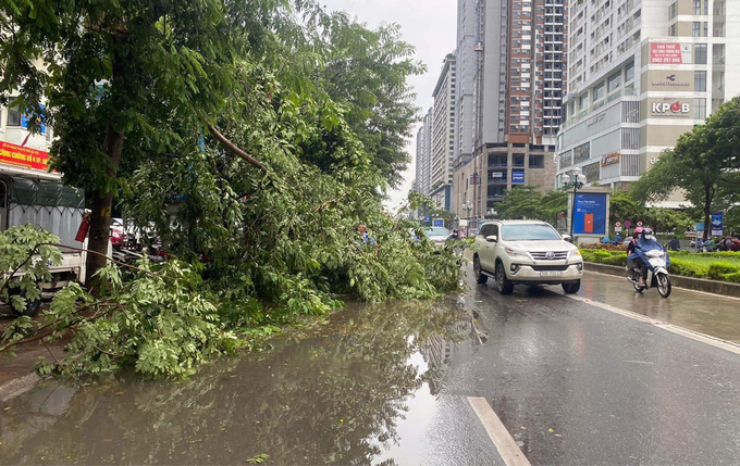 Trên đường Lê Văn Lương, hàng loạt cây xanh cũng bị gãy, đổ sau cơn mưa lớn.