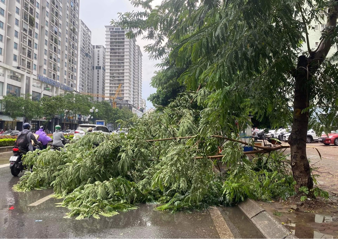 Cơn mưa kèm theo gió giật mạnh khiến cây xanh bị gãy, cẳn trở người đi đường tham gia giao thông.