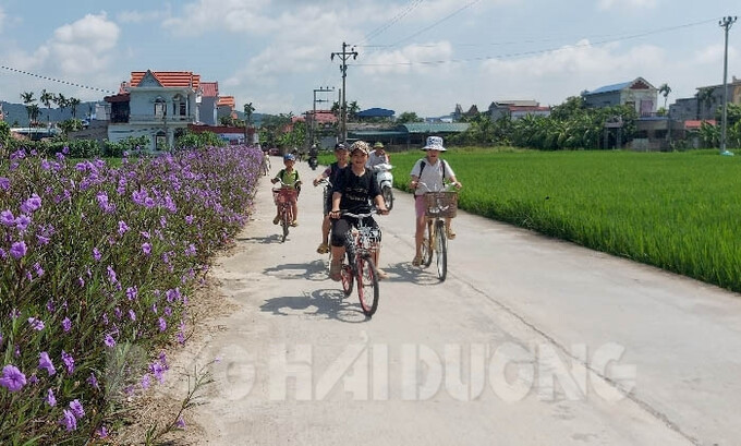 Tuyến đường trục thôn Ngô Đồng, xã Lạc Long (Kinh Môn) mới được mở rộng từ 3,5 lên 5 m có sự đóng góp của người dân. Ảnh minh họa