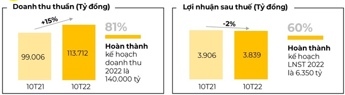 Kết quả kinh doanh 10 tháng đầu năm 2022. Nguồn: Thế giới di động.