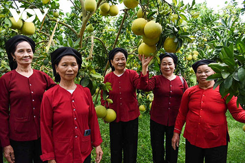 Lục Ngạn xác định phát triển du lịch là nhiệm vụ trọng tâm, từng bước đưa du lịch trở thành ngành chiếm tỷ trọng cao trong cơ cấu kinh tế