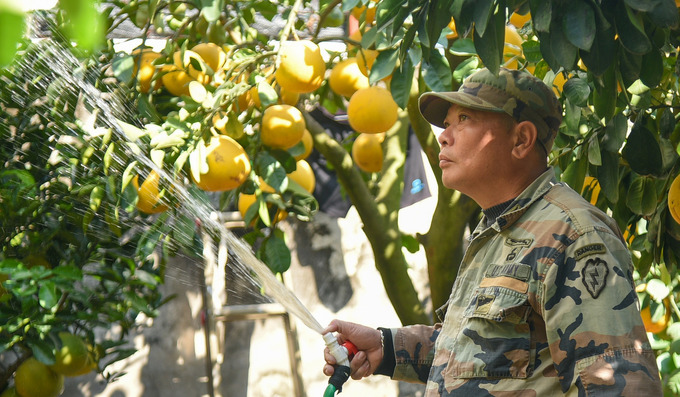 Ông Nguyễn Kim Thắng chủ một nhà vườn ở Hoài Đức (Hà Nội) cho biết: 