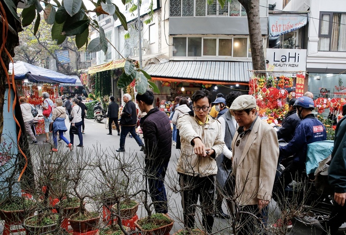 Không giống như chợ hoa Quảng Bá (quận Tây Hồ), các loài cây, hoa chơi Tết tại chợ hoa Hàng Lược thường được chọn lựa kỹ càng hơn rồi mới đem ra bày bán vì người Kẻ Chợ thường đòi hỏi khắt khe hơn về thẩm mỹ.