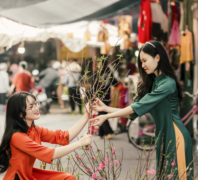 Mua đào đầu năm là nét văn hóa của người Việt.