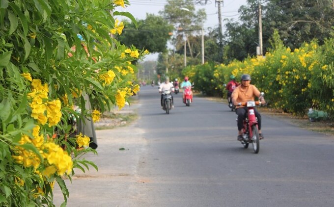 Xây dựng nông thôn theo hướng hiện đại gắn với đô thị hoá. Ảnh minh họa.