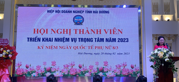 Chủ tịch Hiệp hội DN tỉnh Hải Dương Bà Lương Thu Hương.