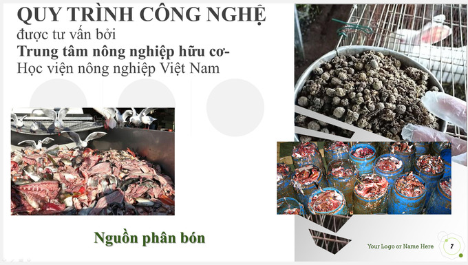 kinh te htx thai binh