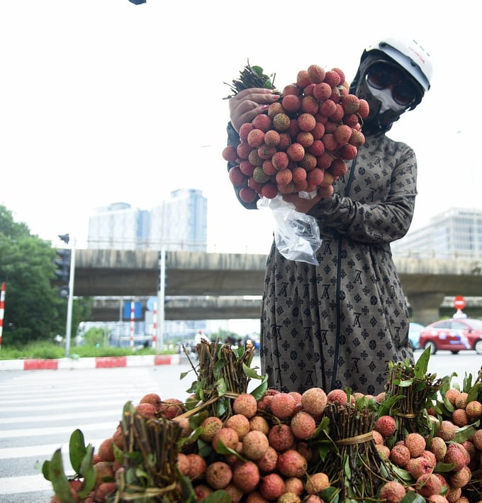 Những quầy bán vải thiều lưu động này thu hút nhiều người mua.