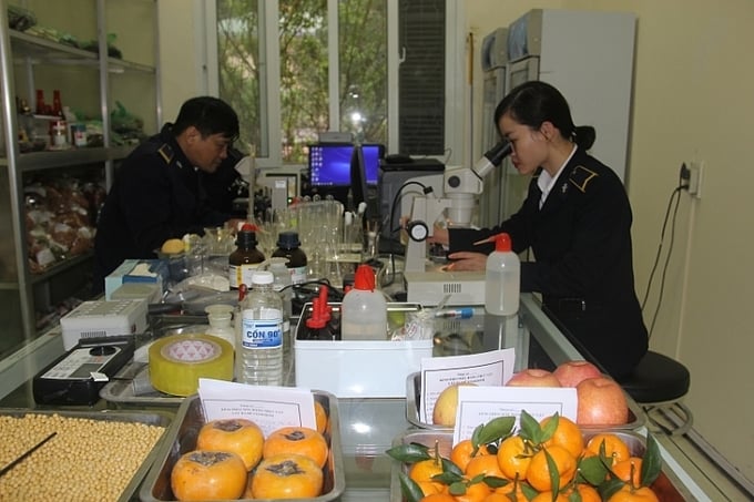 Hoạt động tại Chi cục Kiểm dịch thực vật vùng VII (Lạng Sơn). Ảnh: T.Bình.