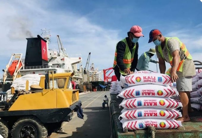 Sản phẩm phân Kali của Đạm Cà Mau.
