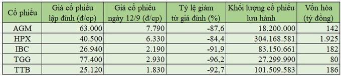 Các cổ phiếu AGM, HPX, IBC, TGG, TTB đều giảm rất sâu trong thời gian vừa qua và bốc hơi 17.853 tỷ đồng so với đỉnh lịch sử.