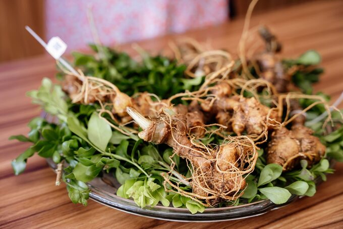 Lãnh đạo Quảng Nam yêu cầu công an lập các chuyên án điều tra sâm giả
