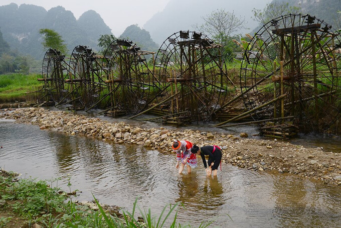 Cọc nước của người Tày. Ảnh: Hà Thế Đô