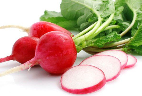 cu-cai-do-radish