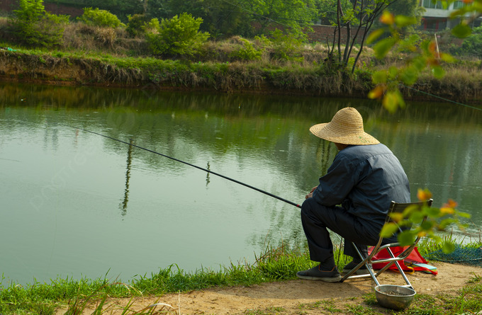 Hình minh họa.