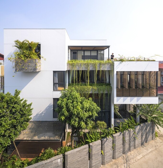 Ngôi nhà có rất nhiều cây xanh