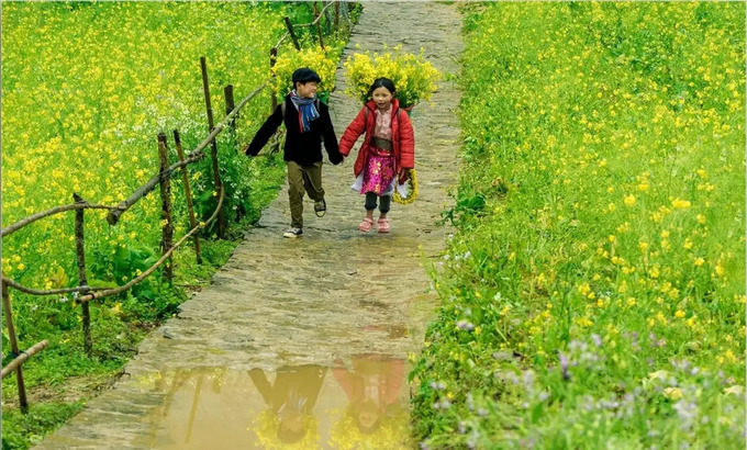 Các mùa hoa tại Hà Giang.