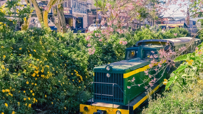 Khung cảnh hai bên đẹp như tranh vẽ