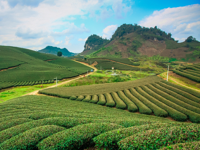 Thung lũng Mai Châu - Cao nguyên Mộc Châu