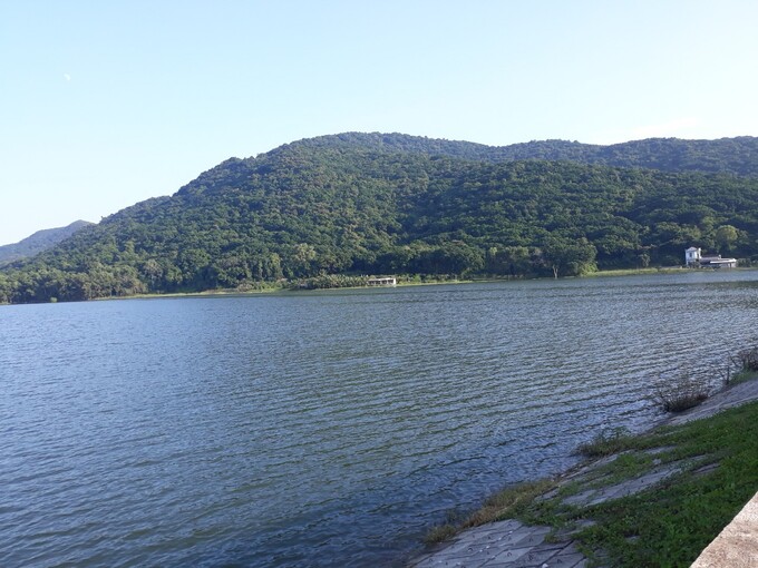 Khu bảo tồn rừng sến Tam Quy được bao bọc bởi hồ Đập Cầu trong xanh