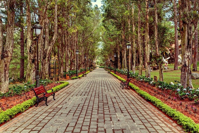 Khuôn viên bên trong dinh thự