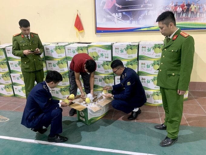 Lực lượng chức năng kiểm tra hàng hóa vi phạm.