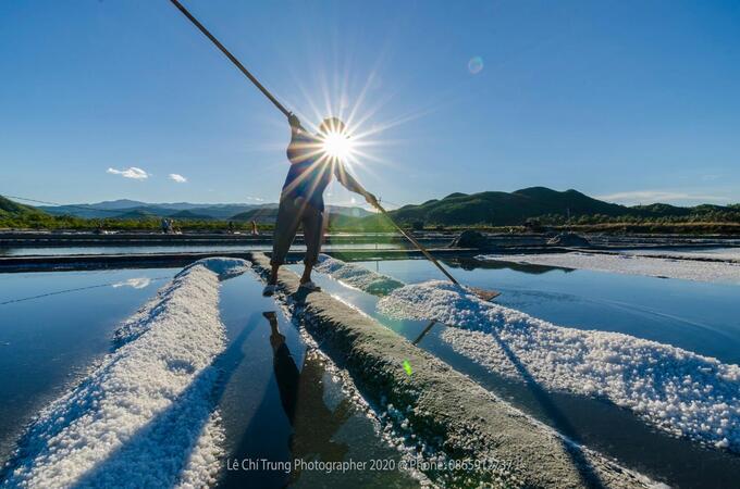 Diêm dân tại xã Xuân Bình thu hoạch muối trên cánh đồng. Đây là nguồn nguyên liệu chính để sản xuất muối hầm Tuyết Diêm. Ảnh: Lê Chí Trung