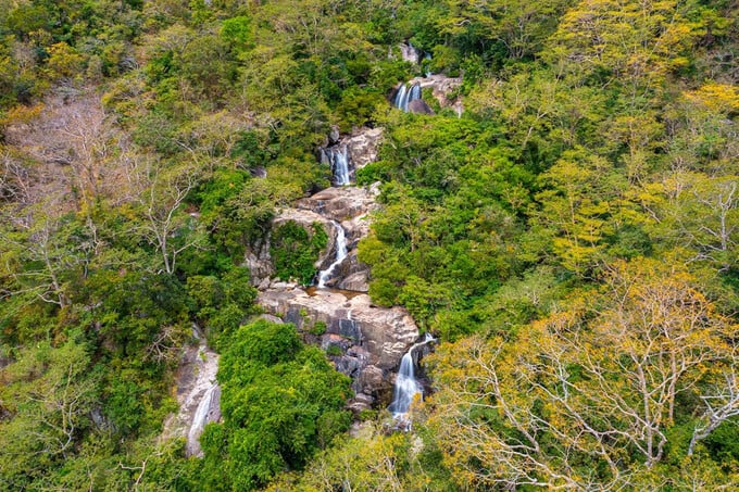Vườn quốc gia Núi Chúa thuộc huyện Ninh Hải và Thuận Bắc, tổng diện tích gần 30.000ha