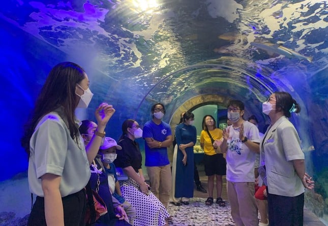 Du khách ngắm sinh vật biển quý hiếm trong đường hầm xuyên núi Cảnh Long. Ảnh: Báo Tiền Phong