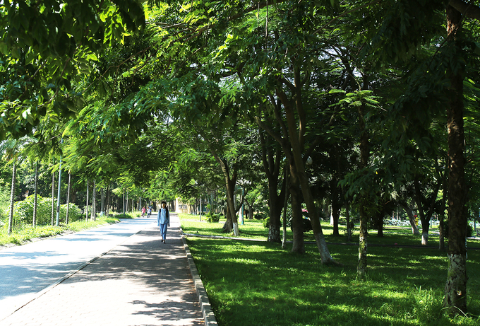 Khuôn viên trường rộng rãi, những tán cây cổ thụ vươn cao tạo nên một cảm giác yên tĩnh, tách biệt hoàn toàn với sự ồn ã chốn đô thị