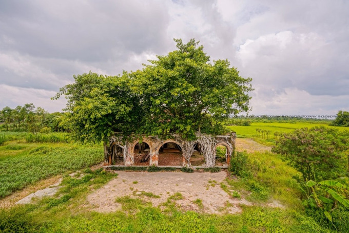 Đình Tân Đông cổ kính nằm trong bộ rễ cây bồ đề ở Tiền Giang