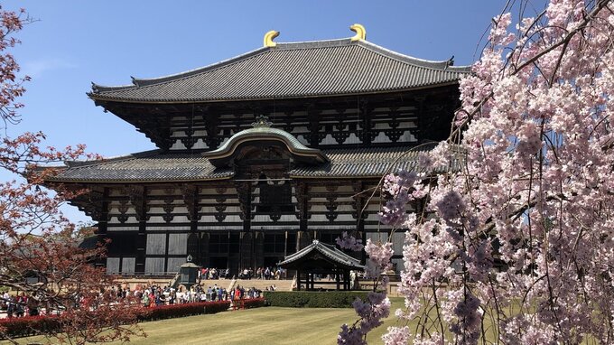 Đật Phật Điện của chùa Todaiji