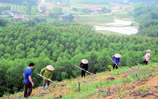 nang-cao-chat-luong-rung-nham-bao-ton-he-sinh-thai-rung-va-phong-chong-thien-tai1707363433