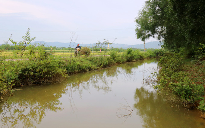 thanh son phong anh 2