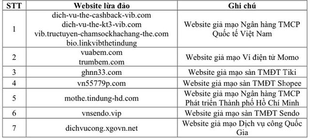 Danh sách các website giả mạo phổ biến. Nguồn: NSCS