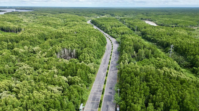 DJI_0221