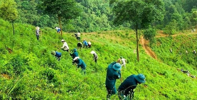 Ảnh minh họa. Nguồn: Internet