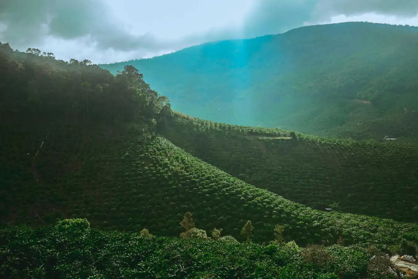 Khung cảnh hùng vĩ trên cung đường đèo.