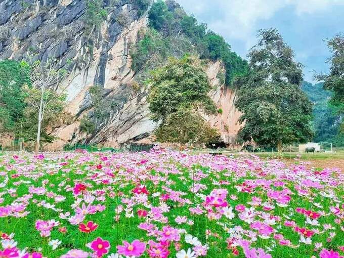 Bên ngoài hang Bua, phong cảnh sơn thủy hữu tình, núi sông cỏ cây xanh ngát một màu