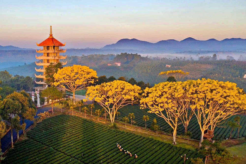 Tu viện Bát Nhã