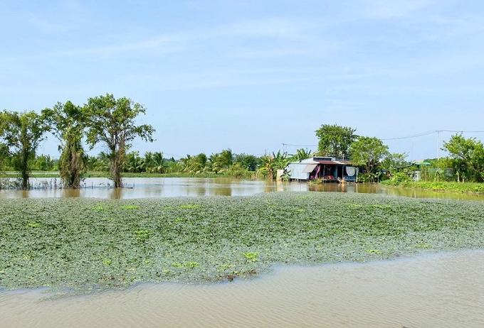 Dòng Vàm Nao tuy ngắn nhưng do cấu trúc địa hình và tốc độ dòng chảy xiết nên hai cửa sông luôn hình thành những xoáy nước to và dữ