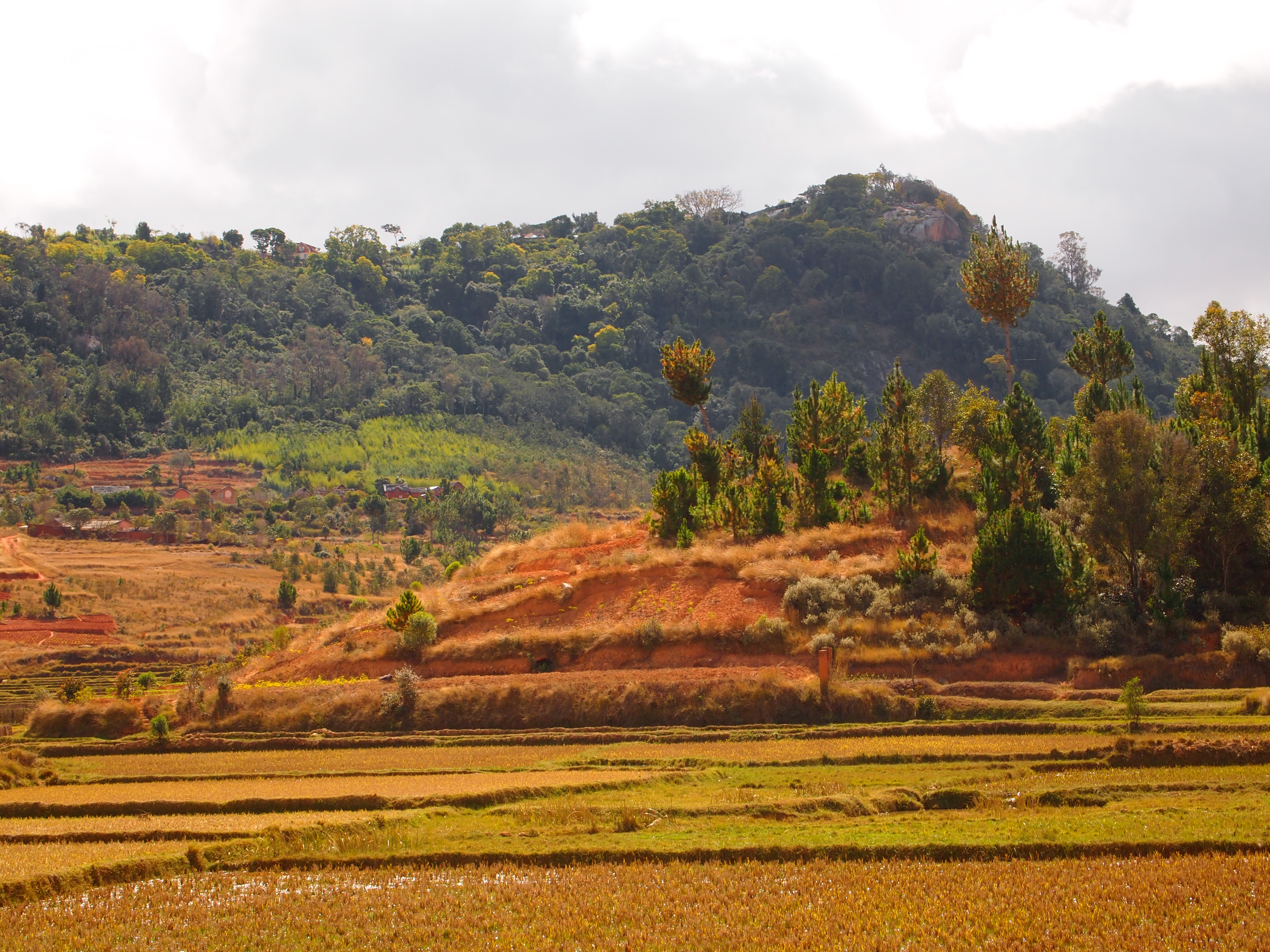 Ngọn đồi Hoàng gia Ambohimanga. Ảnh: Wikipedia