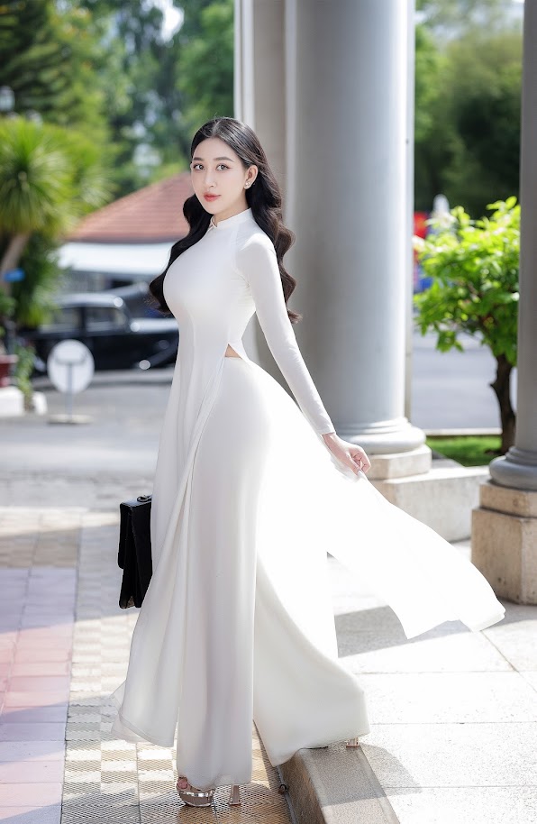 Huỳnh Thúy Anh theo đuổi nghệ thuật từ năm 18 tuổi và đoạt vương miện Hoa hậu Cộng Đồng người Việt tại Mỹ vào năm 2014 khi cô 23 tuổi.