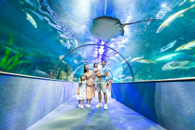 Thủy cung ở Times City. Ảnh: Vinpearl Aquarium