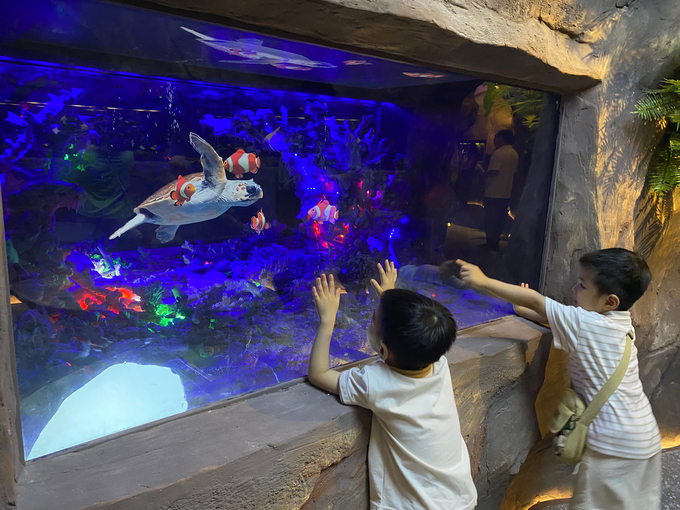 Thủy cung không nước - Waterless Aquarium ứng dụng công nghệ Hologram tiên tiến đến từ Malaysia. Ảnh: ANTĐ