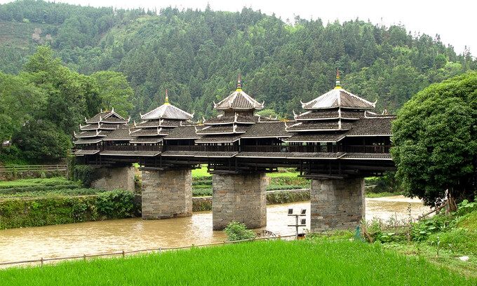 Hai bên bờ sông là cánh rừng chè xanh ngát, và dọc theo sườn đồi là những cánh rừng tươi tốt (Ảnh: Internet)