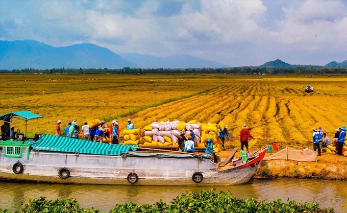 Các đô thị được hình thành do tập tục sinh hoạt của người dân ở vùng ĐBSCL. Ảnh: Internet