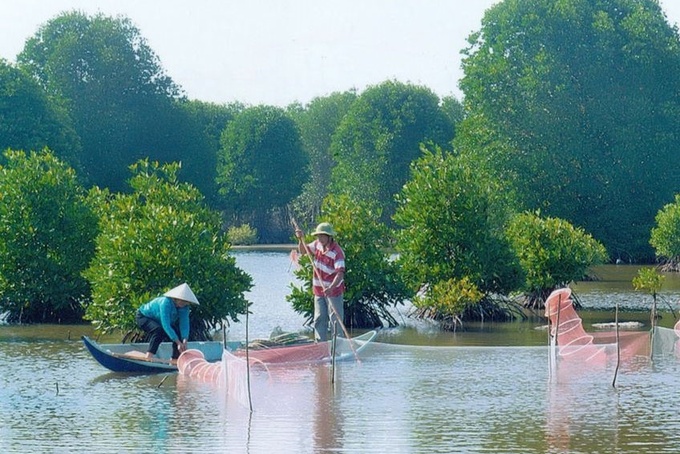 Mô hình tôm - rừng (nuôi tôm dưới tán rừng) ở Cà Mau là hình thức nuôi tôm gắn với bảo vệ rừng và trồng rừng ngặp mặn, quan tâm đến tăng trưởng nguồn các-bon xanh phù hợp xu thế phát triển xanh trên thế giới.